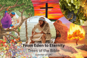 Trees of the Bible