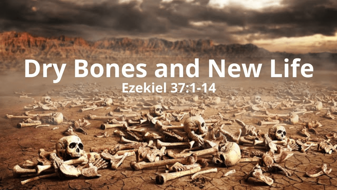 Dry Bones and New Life